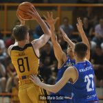 Dubrava Cibona 9525