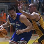 Dubrava Cibona 9555