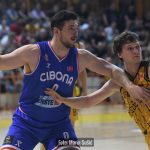 Dubrava Cibona 9563