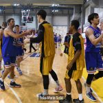 Dubrava Cibona 9570