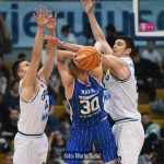 Cibona Zadar 5179