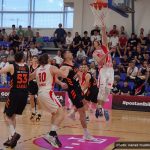 Gorica Cedevita 27