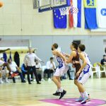 Alkar Gorica