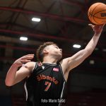 CedevitaJunior Sibenka 8959