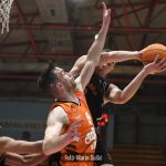 CedevitaJunior Sibenka 8991