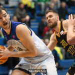 Cibona Split 2461