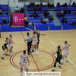 Gorica Furnir 10