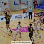 Gorica Furnir 11
