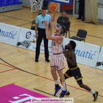 Gorica Furnir 13