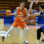 CedevitaJunior Bosco 5017