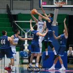 Dinamo Cibona 8529