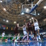 Cibona Gorica 8960 (1)