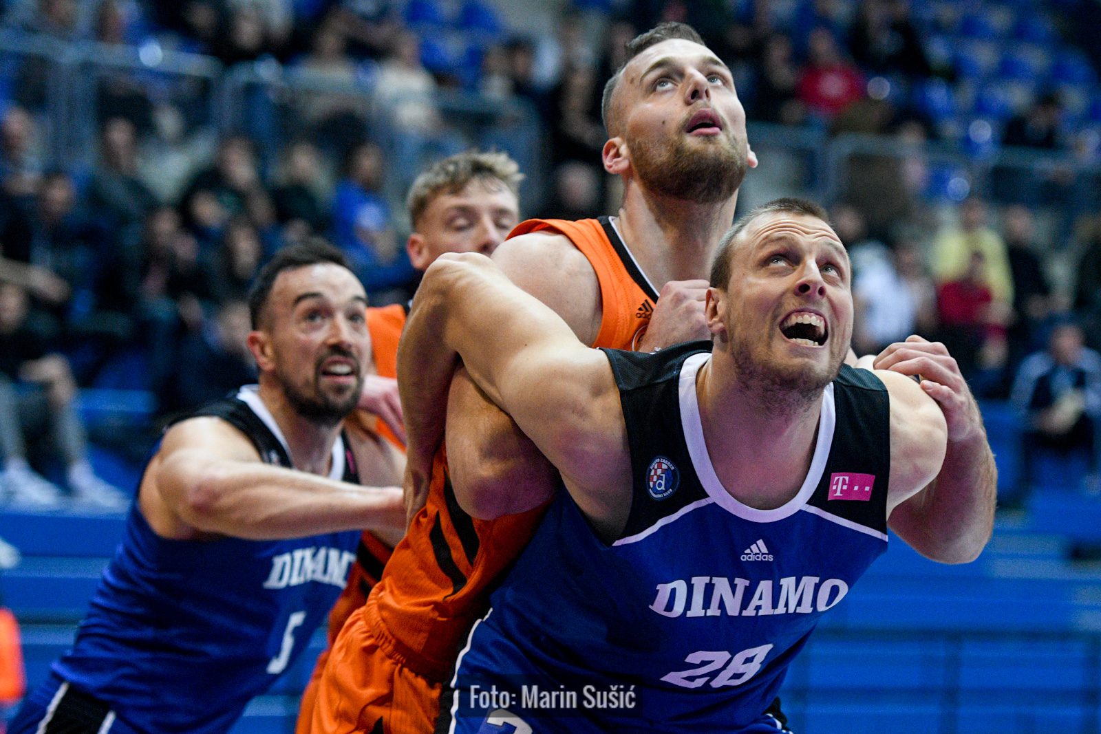 SuperSport kup Krešimir Ćosić: Cedevita Junior drugu godinu u nizu izborila finale, Dinamo je dao sve od sebe