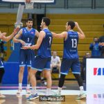 Sibenka Cibona 6592