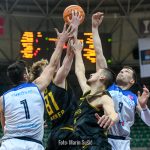 Cibona Dubrava 4179