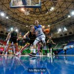 Cibona Dubrava 8993