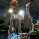 Cibona Dubrava 9099