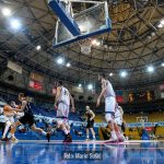 Cibona Sibenka 2233