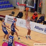 Gorica Alkar 23