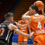 CedevitaJunior Sibenka 4026