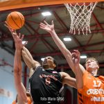 CedevitaJunior Sibenka 4094