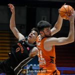 CedevitaJunior Sibenka 4256