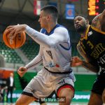 Cibona Split 3803