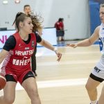Hrva Kosovo Nekic