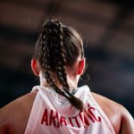 HR BEL Arnautovic