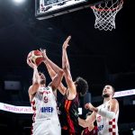 Šarić Zubac