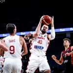 Zubac Šarić