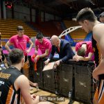 CedevitaJunior Sibenka 0856