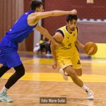 Dubrava Cibona 8003