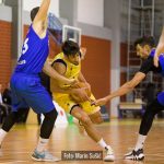 Dubrava Cibona 8123