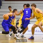 Dubrava Cibona 8142