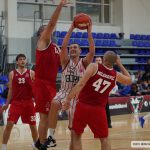 Gorica Hermes 11