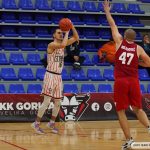 Gorica Hermes 17