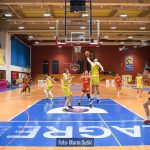 Bosco CedevitaJunior 9205