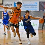 Šibenka Cibona (1)
