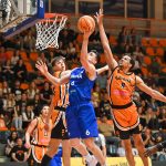 Šibenka Cibona (2)