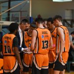Šibenka Cibona (9)