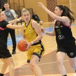 Medvescak Tresnjvka (6)
