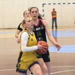 Medvescak Tresnjvka (7)