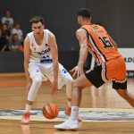 BAM 5033