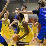 Dubrava Cibona 3817