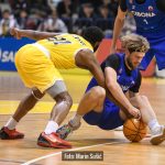 Dubrava Cibona 3995