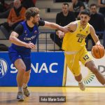 Dubrava Cibona 4009