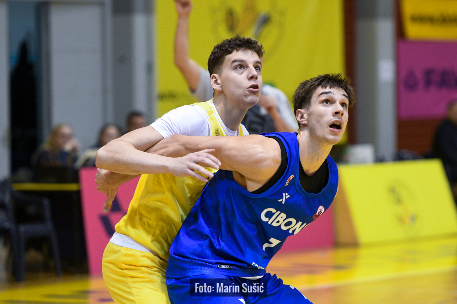 FAVBET Premijer liga (19. kolo): Cibona u gostima bolja od Dubrave