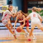 Cro Polj 3