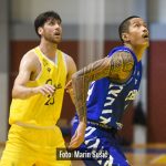 Dubrava Cibona 5613